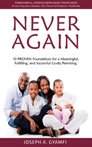 NEVER AGAIN Book cover